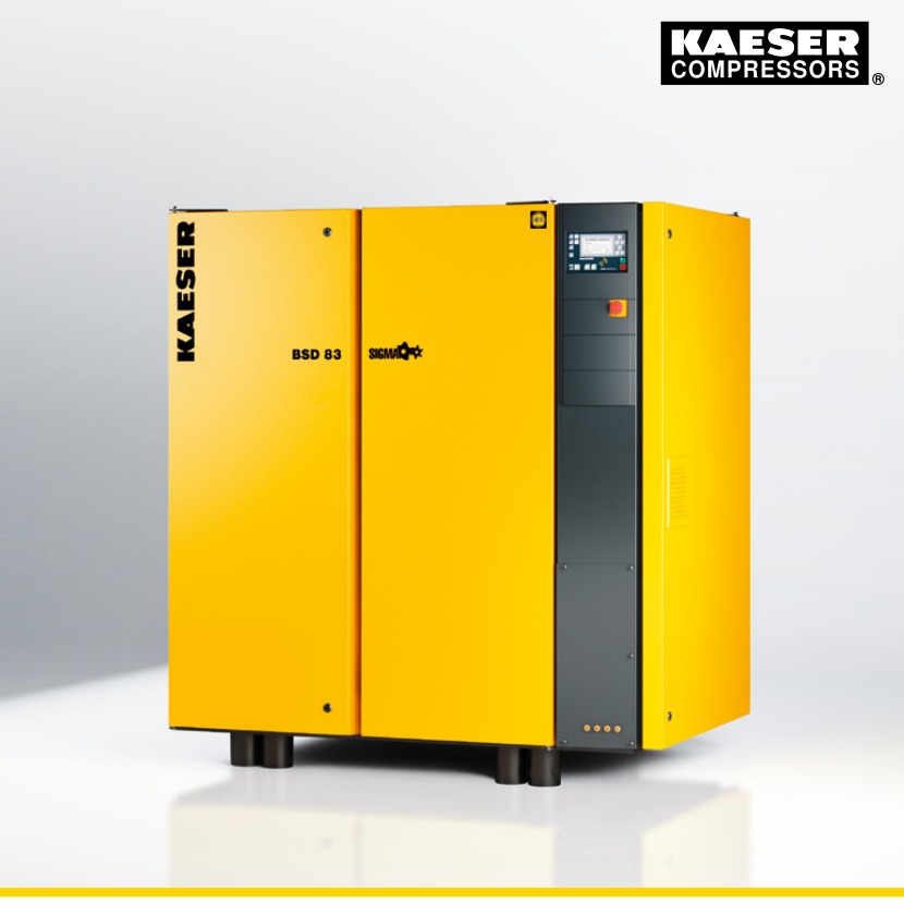 BSD Series product image from supplied Kaeser catalogue